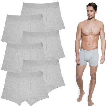 Bread and Boxers Boxer Briefs 6P Grå økologisk bomuld Medium Herre