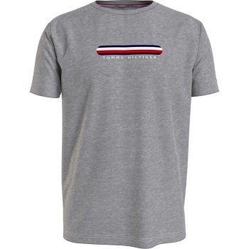 Tommy Hilfiger SeaCell Crewneck Short Sleeve Grå Large Herre