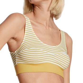 Calida Bh Yellowbration Elastic Top Lysegul bomuld Large Dame