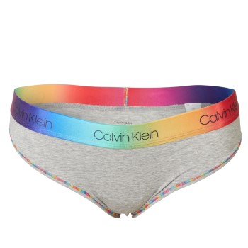 Calvin Klein Trusser Pride Modern Cotton Plus Hipster Lysegrå X-Large Dame