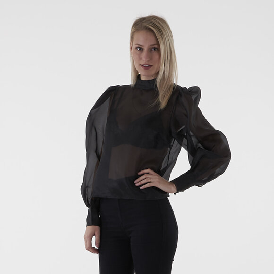Volume sleeve organza blouse