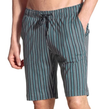 Calida Remix Basic Shorts Gråstribet bomuld Large Herre