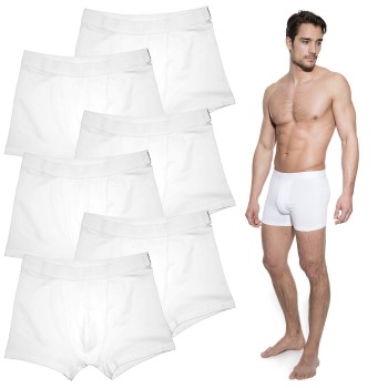 Bread and Boxers Boxer Briefs 6P Hvid økologisk bomuld Large Herre