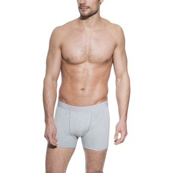 Bread and Boxers Boxer Brief Grå økologisk bomuld X-Small Herre