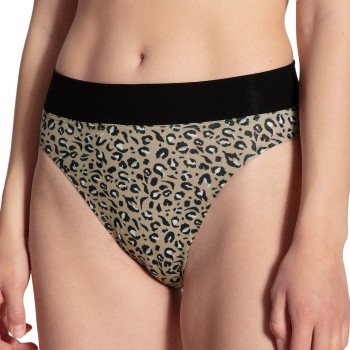 Calida Trusser Elastic Tai Leopard bomuld Small Dame