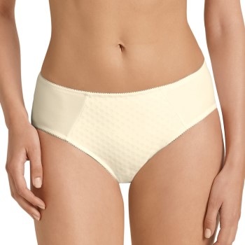 Anita Trusser Care Lisa High Waist Brief Benhvid 38 Dame