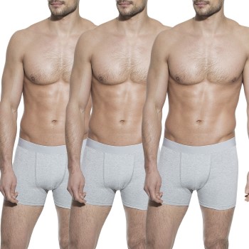 Bread and Boxers Boxer Briefs 3P Grå økologisk bomuld Large Herre