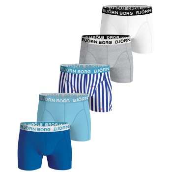 Björn Borg 5P Essential Shorts 2115 Blå/Lyseblå bomuld Large Herre